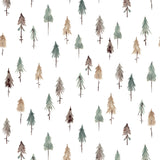 KHARU - Sample wallpaper, pine forests