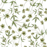 WELLINGTON - Sample wallpaper, hellebores (green)