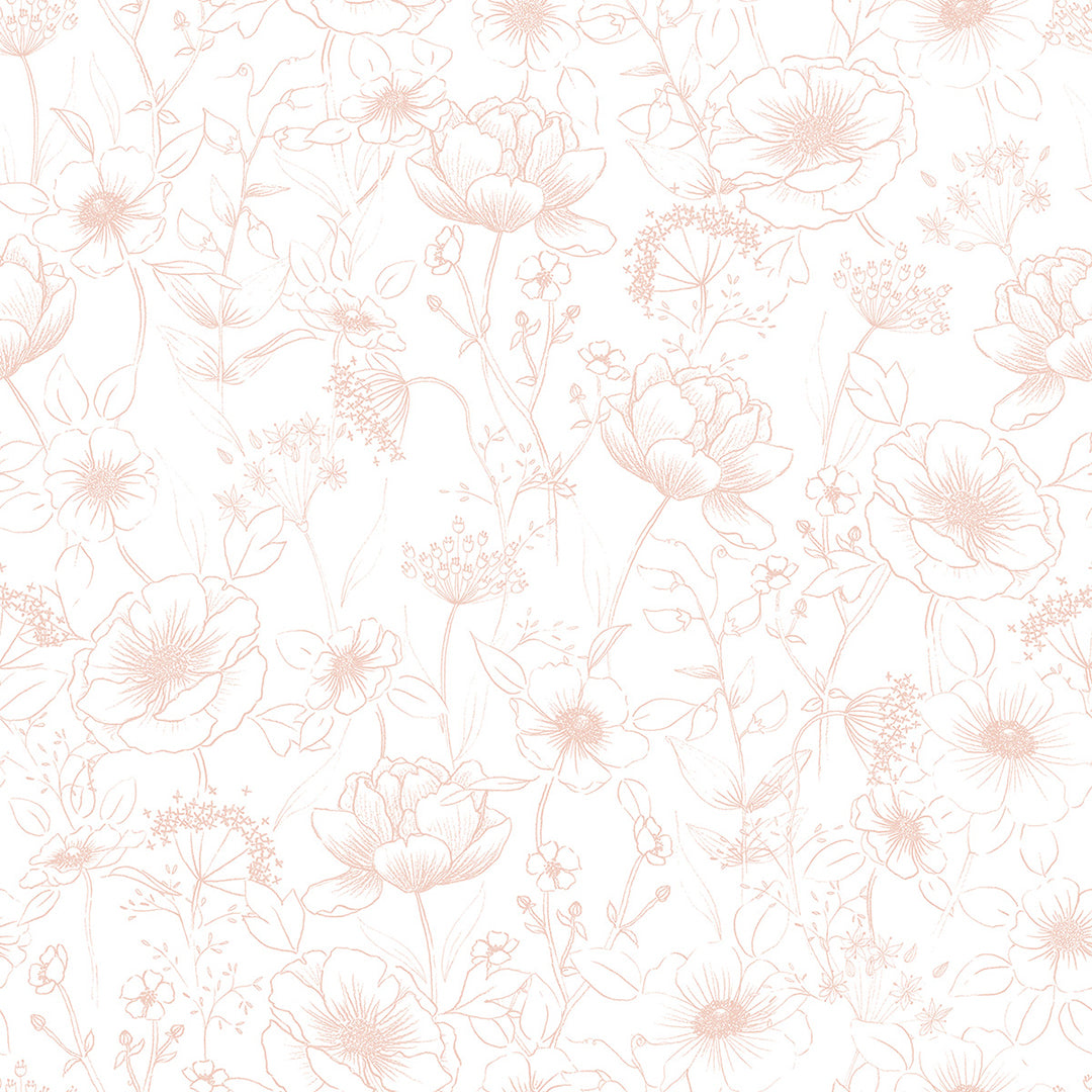 BOTANY - Sample wallpaper, flowers, botany pink