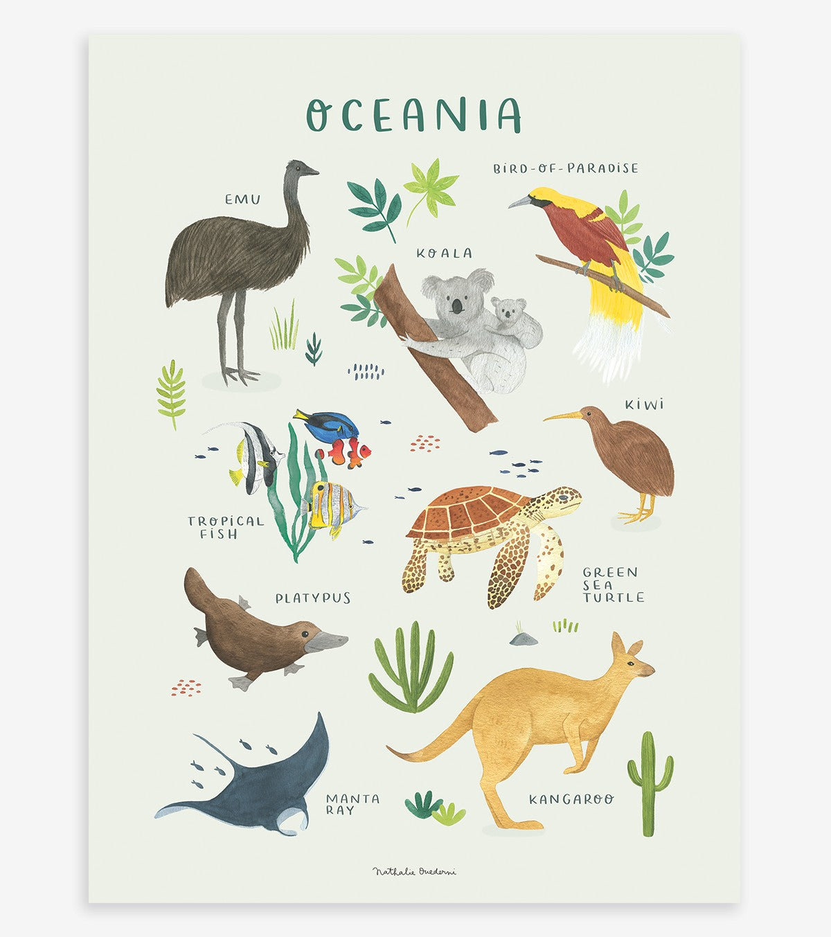 LIVING EARTH - Children's poster - Animals of Oceania