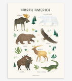 LIVING EARTH - Children's poster - North American animals