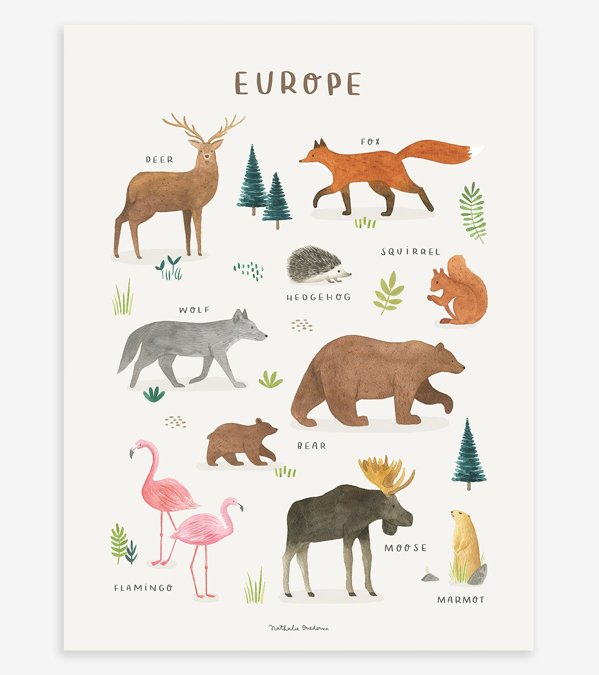 LIVING EARTH - Children's poster - Animals of Europe