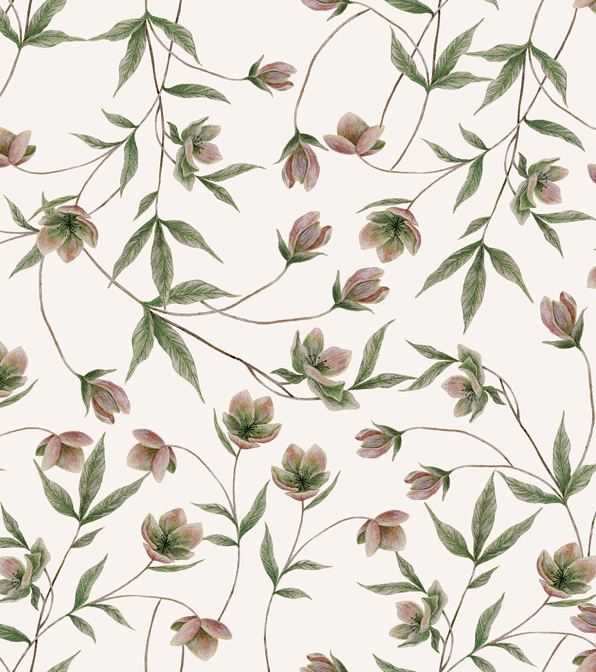 WELLINGTON - Children's wallpaper - Hellébore flower motif