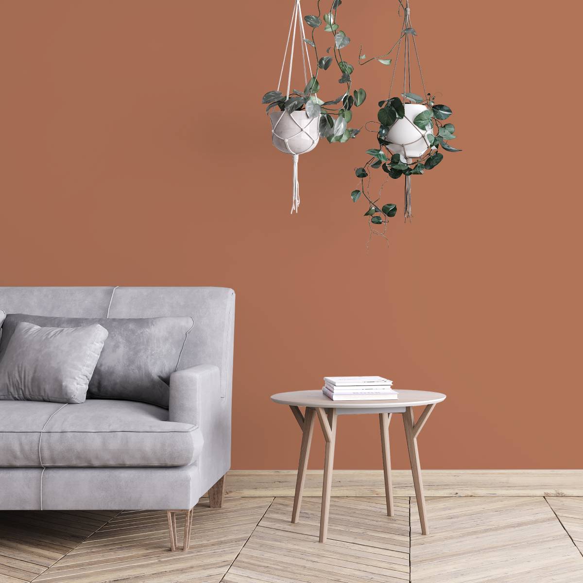 Algo ecological paint - Gingerbread Brown