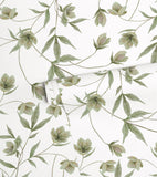 WELLINGTON - Children's wallpaper - Hellébore flower motif