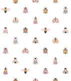 COCCINELLA - Wallpaper sample - Pretty insects