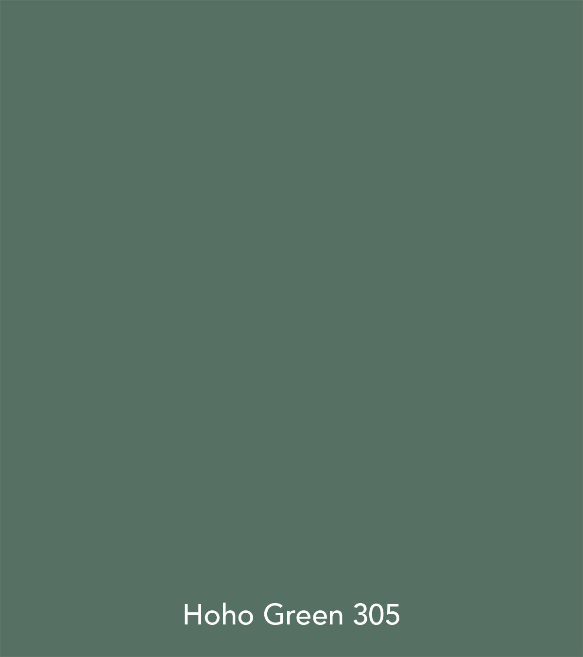 Little Greene paint - Hoho Green (305)