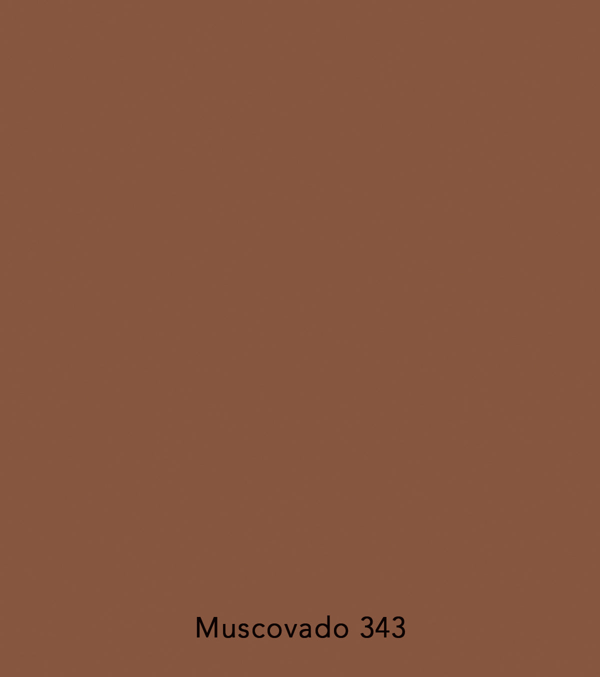 Little Greene paint - Moscovado (343)