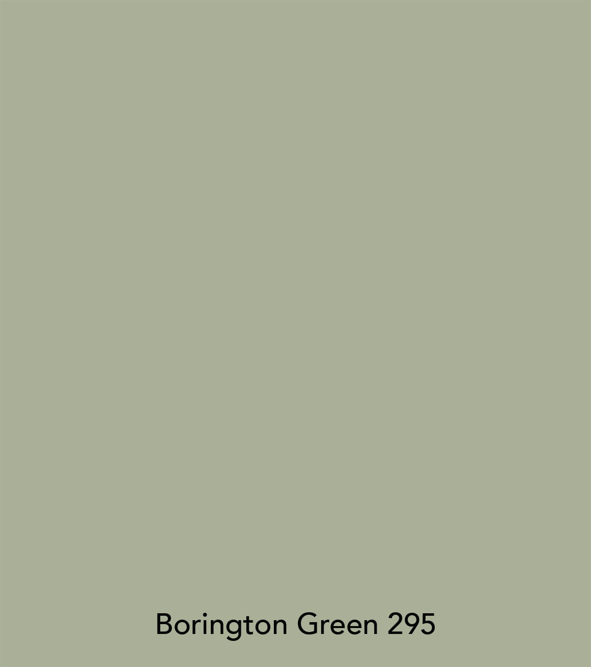 Little Greene paint - Borington green (295)