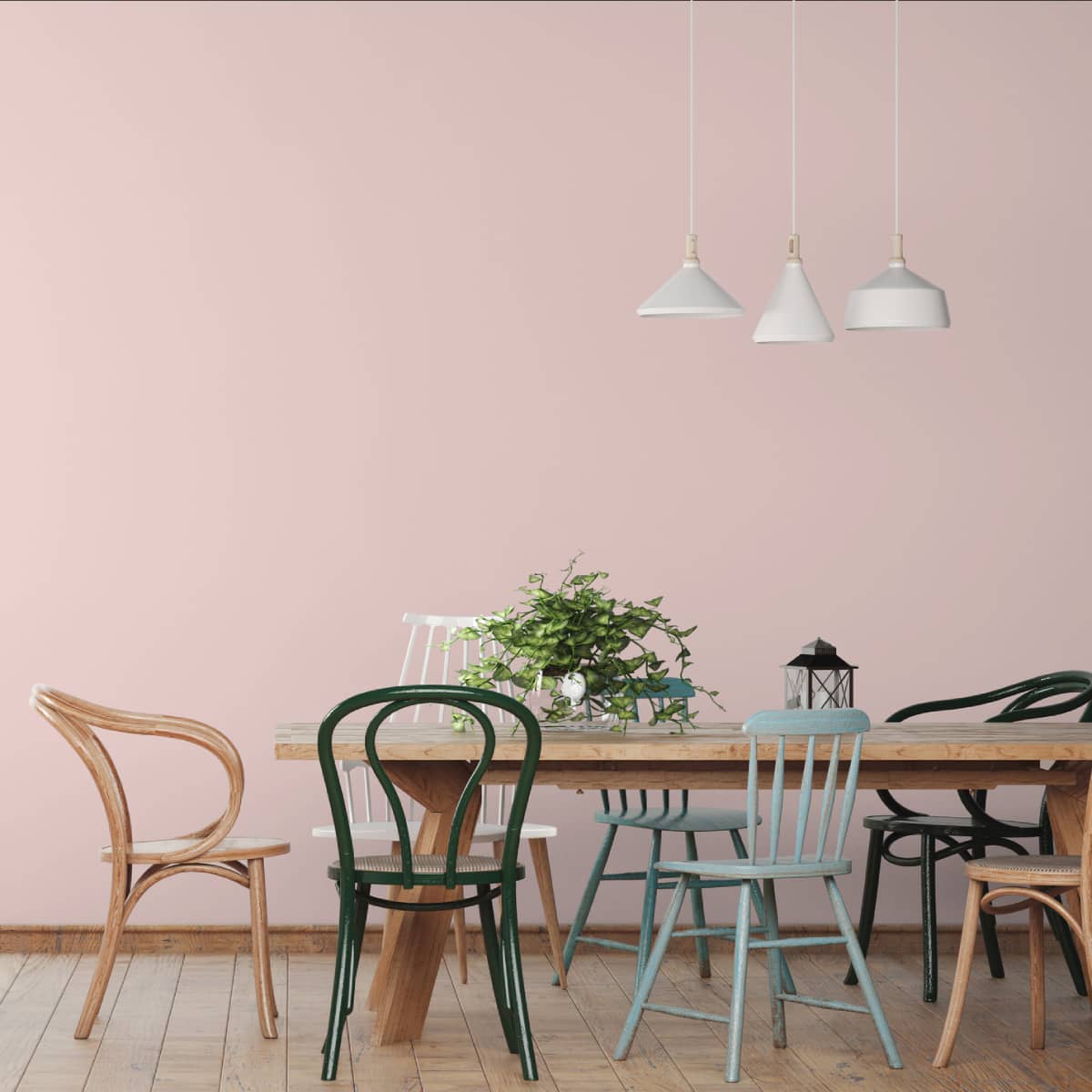 Algo ecological paint - Terre Rose