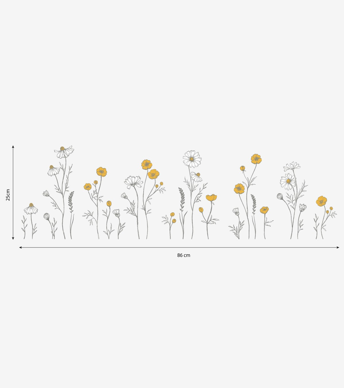 CHAMOMILE - Wall decals Walls - Chamomile flowers