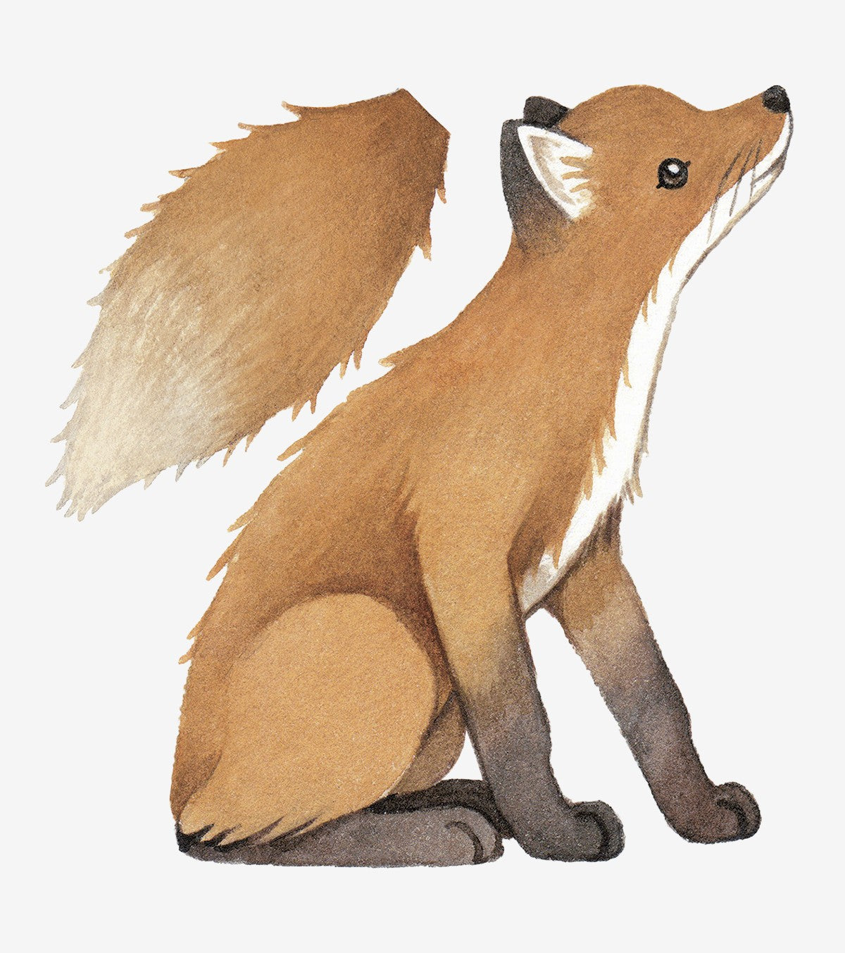 FOREST - Large sticker - Vintage fox