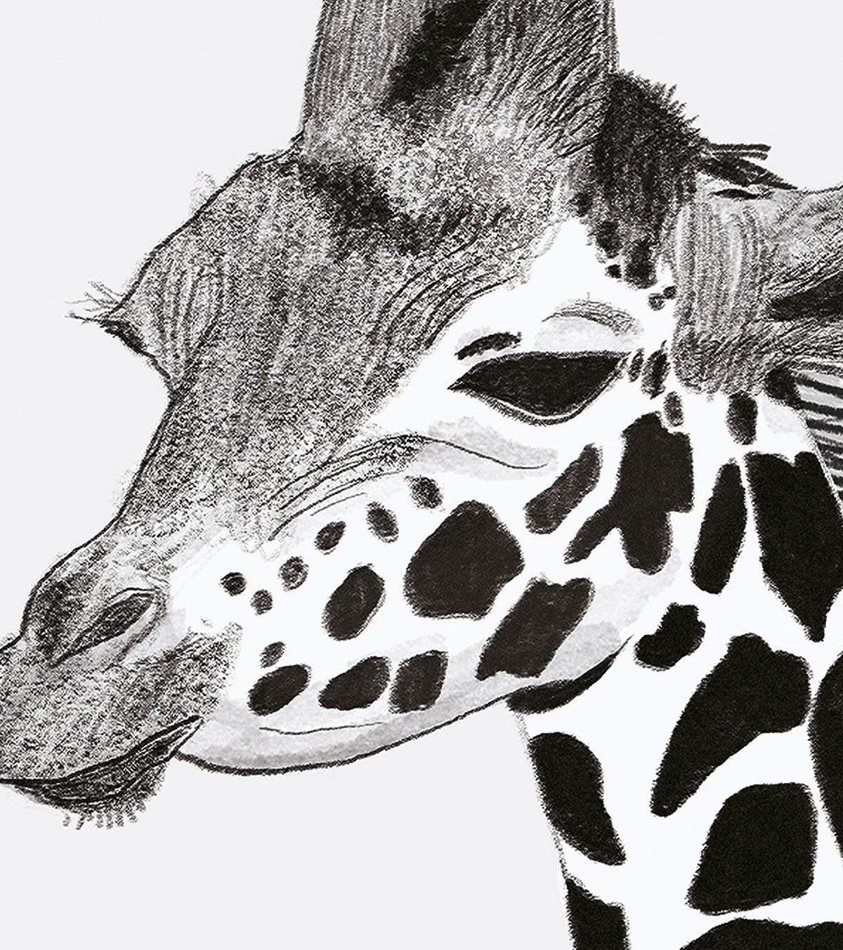 SERENGETI - Children's poster - The giraffe