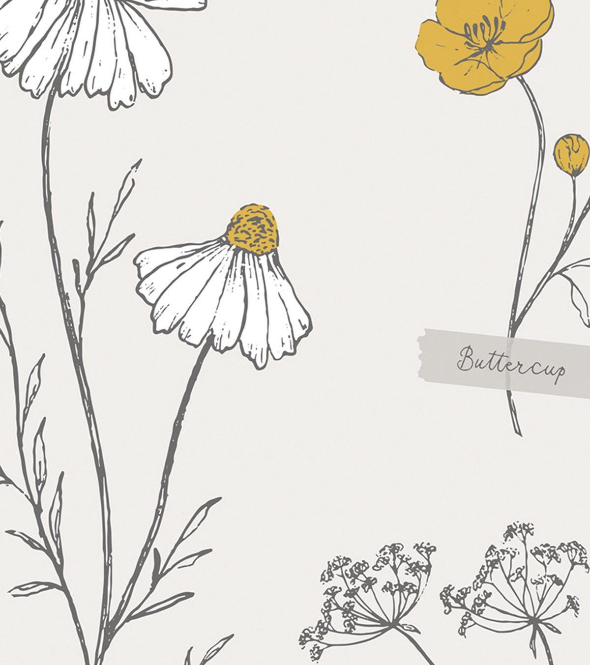 CHAMOMILE - Children's poster - Field flowers