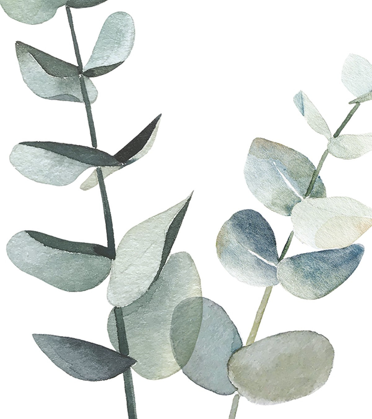 GREENERY - Children's poster - Eucalyptus stems