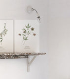 WELLINGTON - Set of 2 Art prints - Flowers, botanicals
