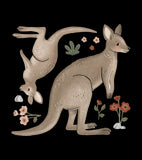 LILYDALE - Big Wall decals - The kangaroos