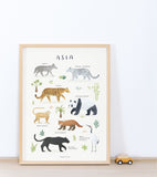 LIVING EARTH - Children's poster - Asian animals