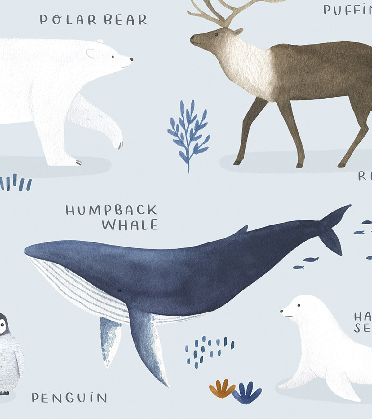 LIVING EARTH - Children's poster - North and South Pole animals