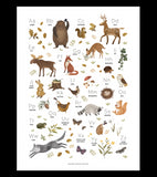 NORWOOD - Children's poster - Woodland animals ABC