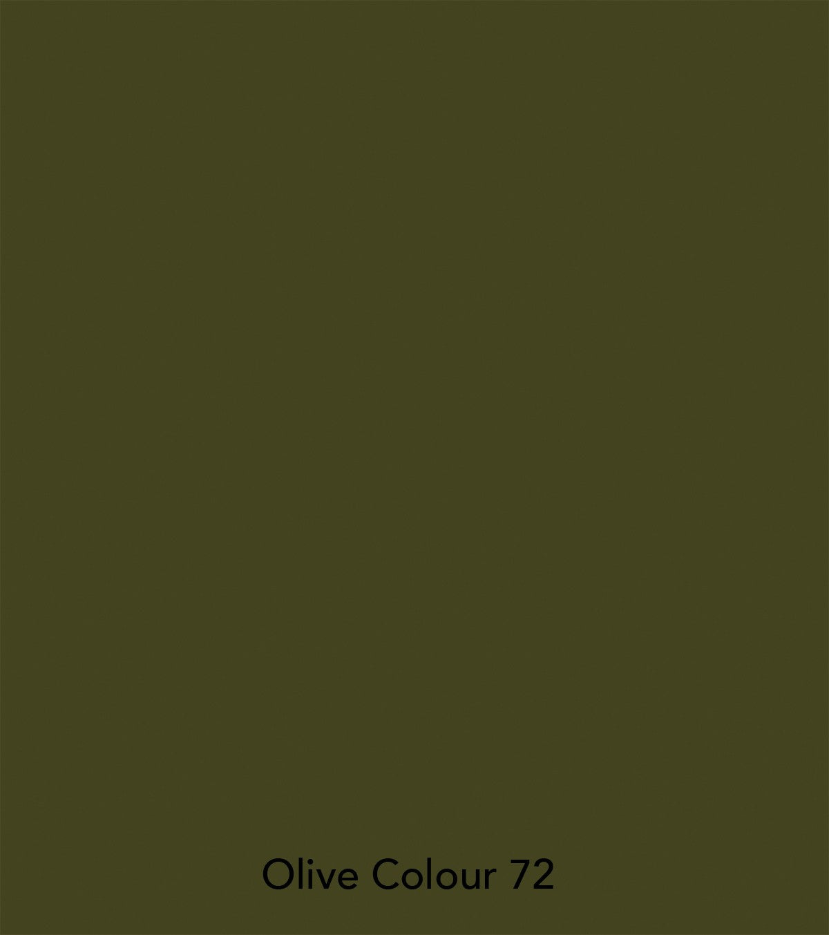 Little Greene paint - Dark Olive (72)