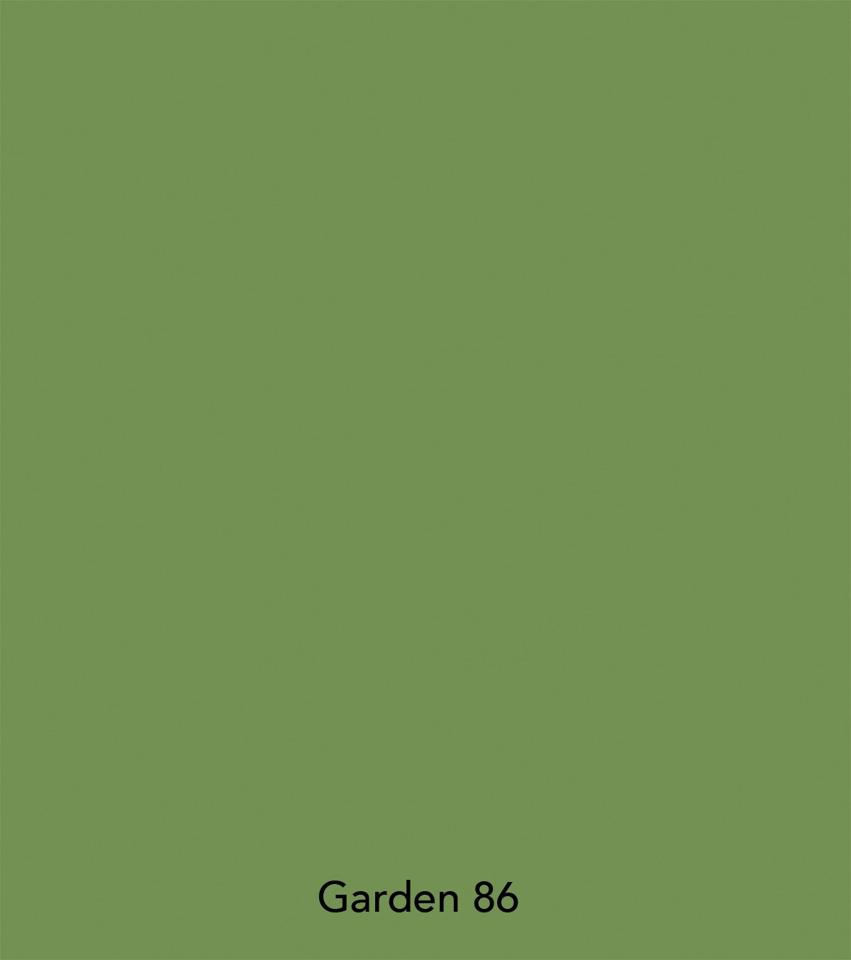 Little Greene paint - Garden (86)
